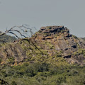 IMG_5023.jpg
