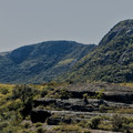 IMG_5025.jpg
