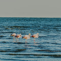 IMG_5036.jpg