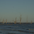 IMG_5038.jpg