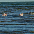 IMG_5044.jpg